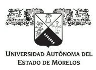 Uaem Logo