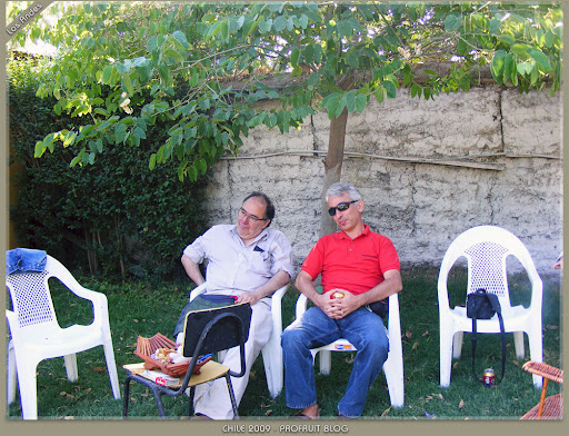 Los Andes