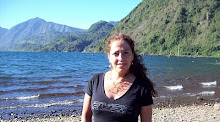 Lago Pellaifa