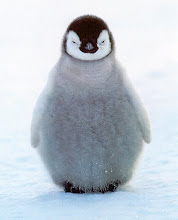 i ♥ penguins