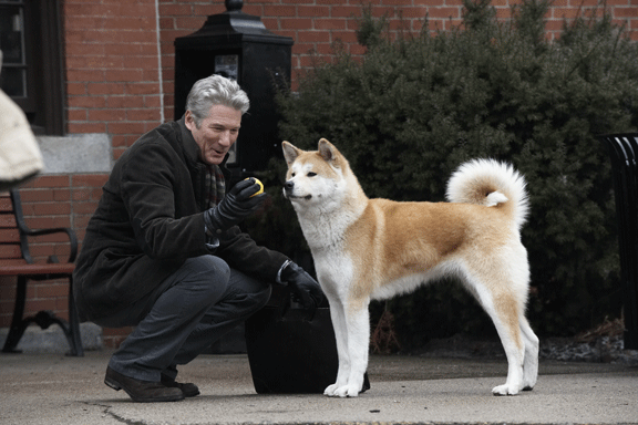 [Hachi1.gif]
