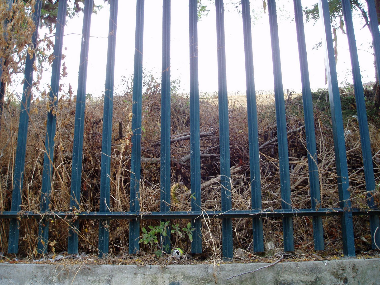 [P9020278.JPG]