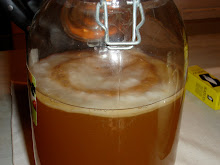 Kombucha