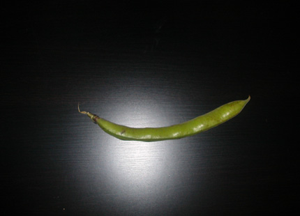 [fava.jpg]