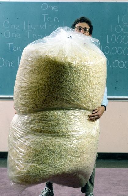 PopcornGiantBag.jpg