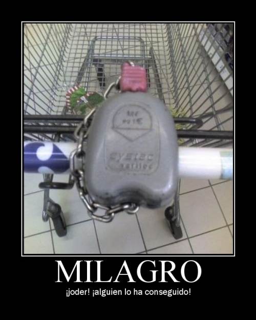 [01.jpg]