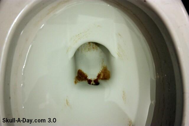 ... ?found this unhappy fellow staring at me from my bathroom sink
