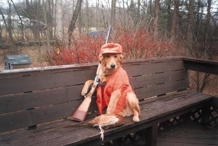 redneck hunter redneck hunter