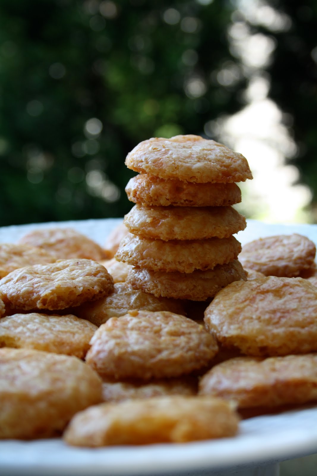 Finding Tasty Cheese Pennies, aka 'the crackers I can no longer bake'