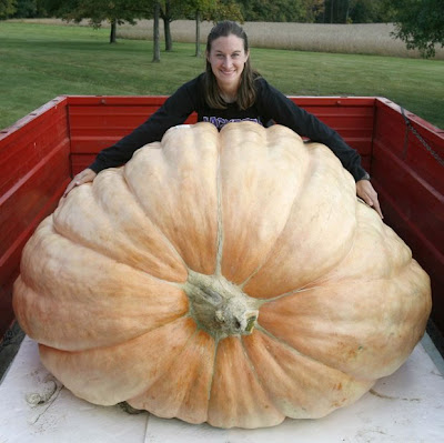World's Largest Pumpkin