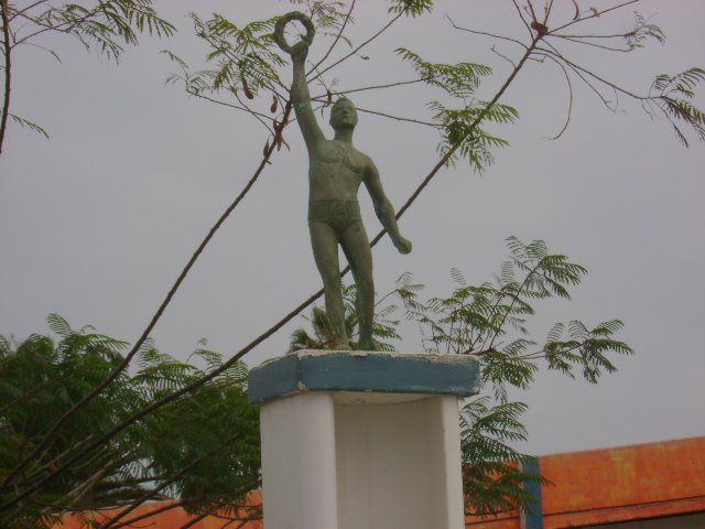 piscina inicios