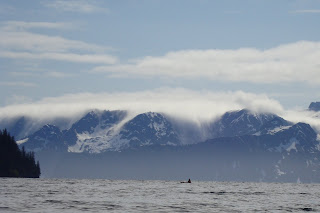 Sea Kayaking in Kenai Fjords National Park: Coleman Bay