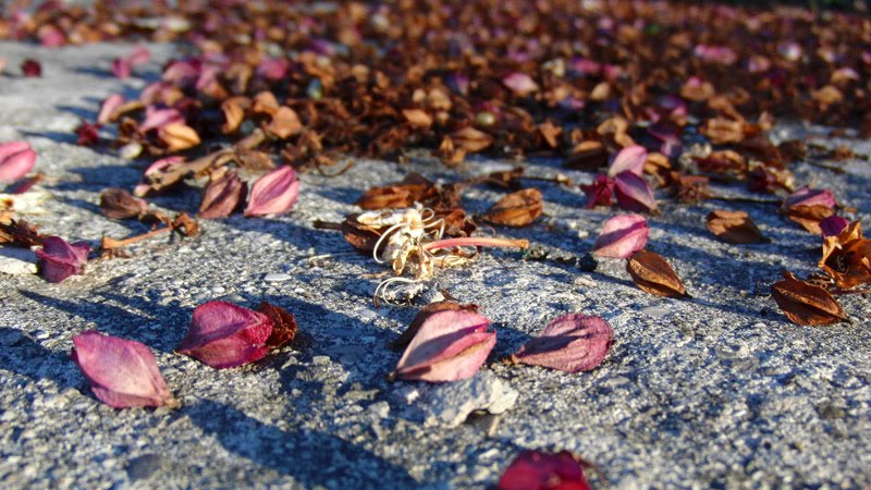 autunno