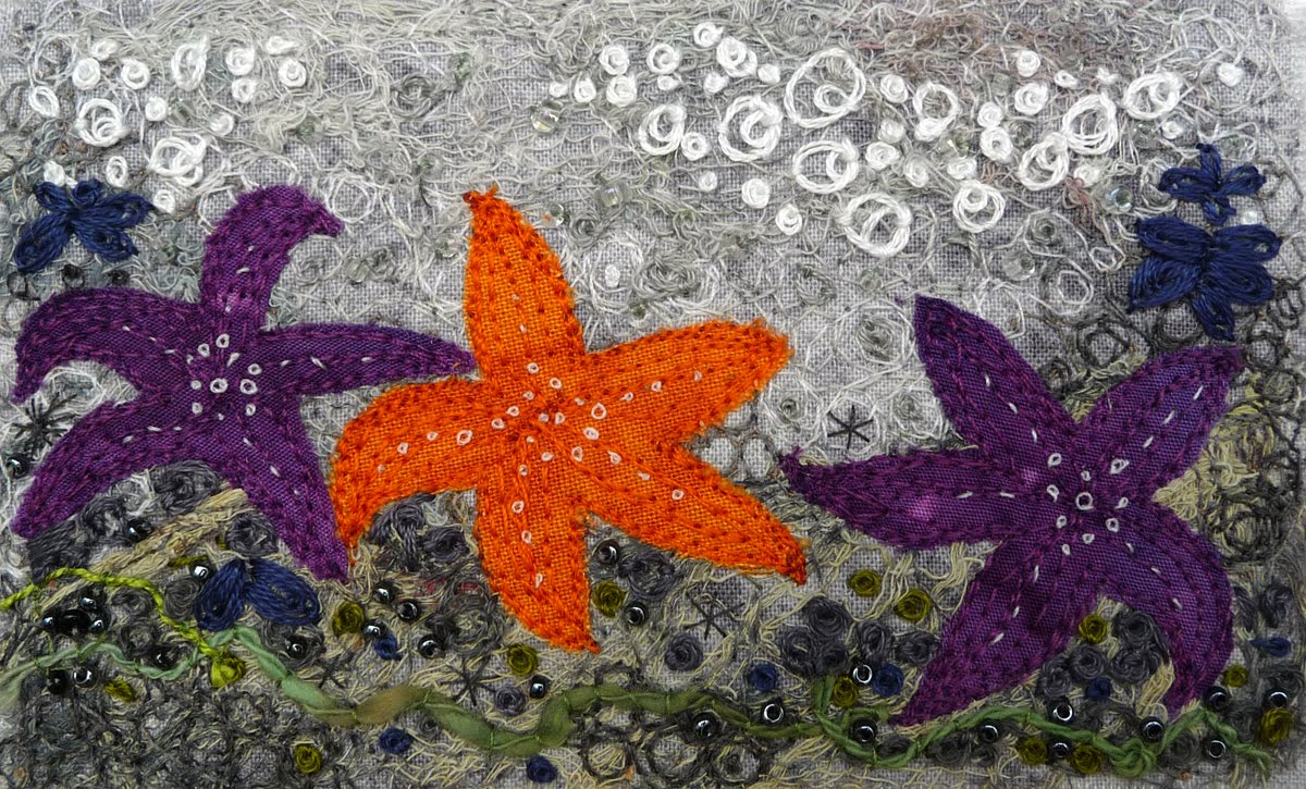 http://4.bp.blogspot.com/_758jXBjbjm8/TA_elz4HH5I/AAAAAAAAAlA/gebaQdRvDoc/s1600/Sea+Stars+donation.JPG