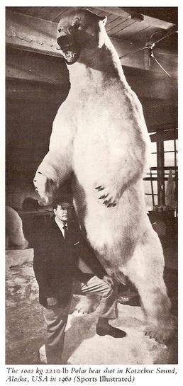 worlds biggest polar bear standing sexy lip and pussy