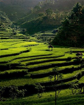 Info Liburan Anda Di Bali: Tujuh Desa Wisata Baru di ...