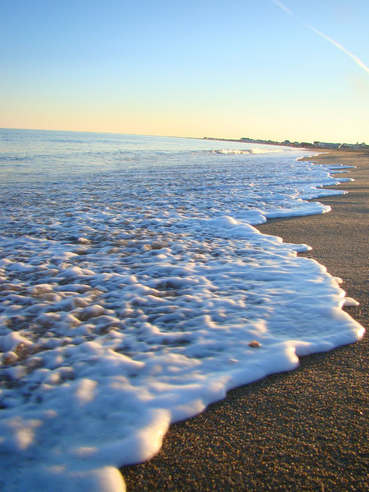 [Nov.+beach+051_edited-1.jpg]