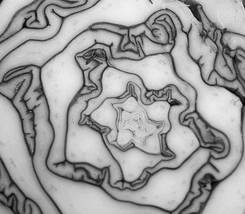 [fractal+2.JPG]