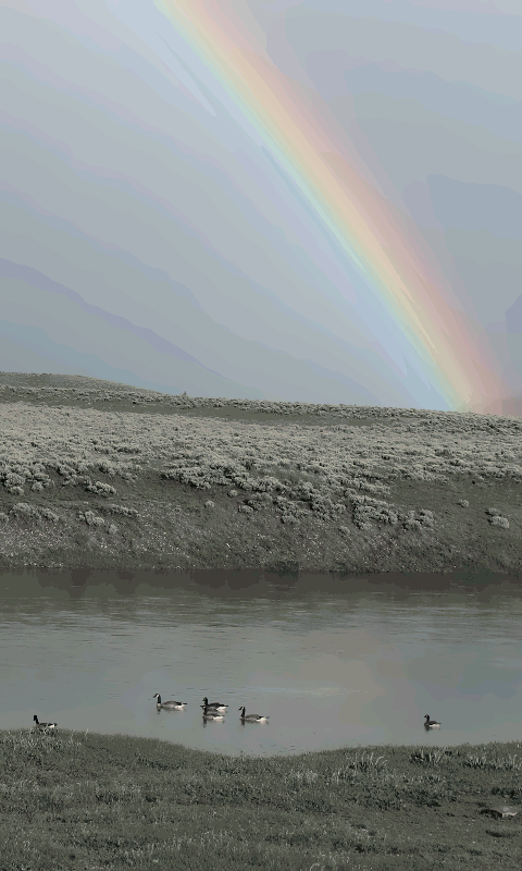 [out-rainbow-normal.png]