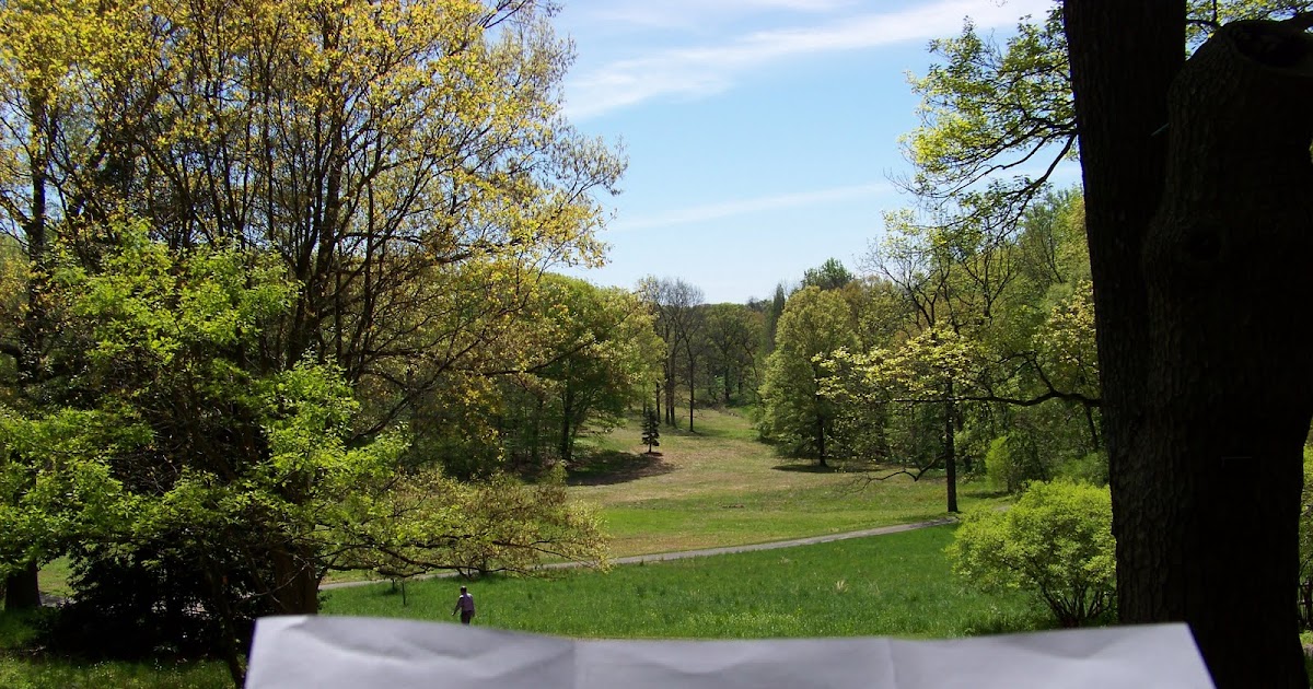 Up. Frelinghuysen Arboretum, Morristown, NJ