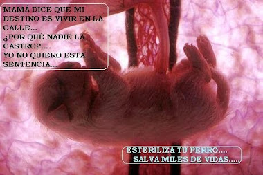 ESTERILIZAR SALVA VIDAS