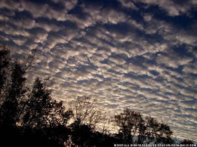 Cirrus clouds, by James Prisco Cirrus clouds, by James Prisco
