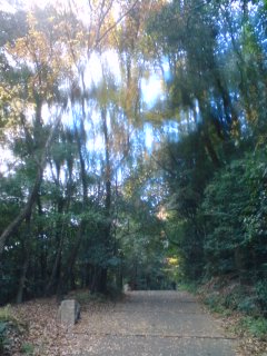 [081216_1107~01.jpg]