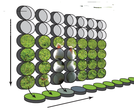 [CCD+array.PNG]