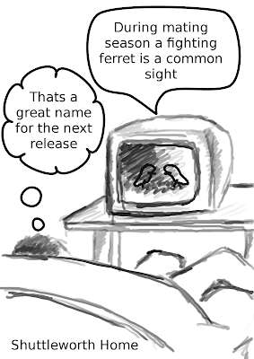 maybe next i should pick on the openSUSE color scheme so i don't get crucified by the Ubuntu fans