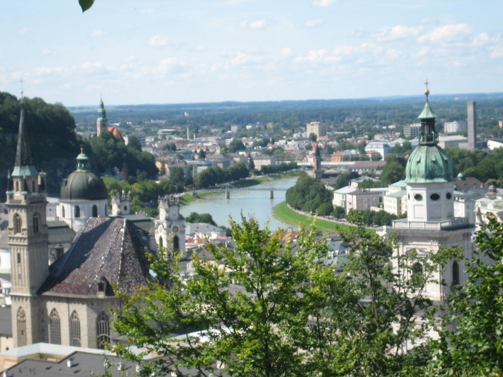 [IMG_5246.JPG]