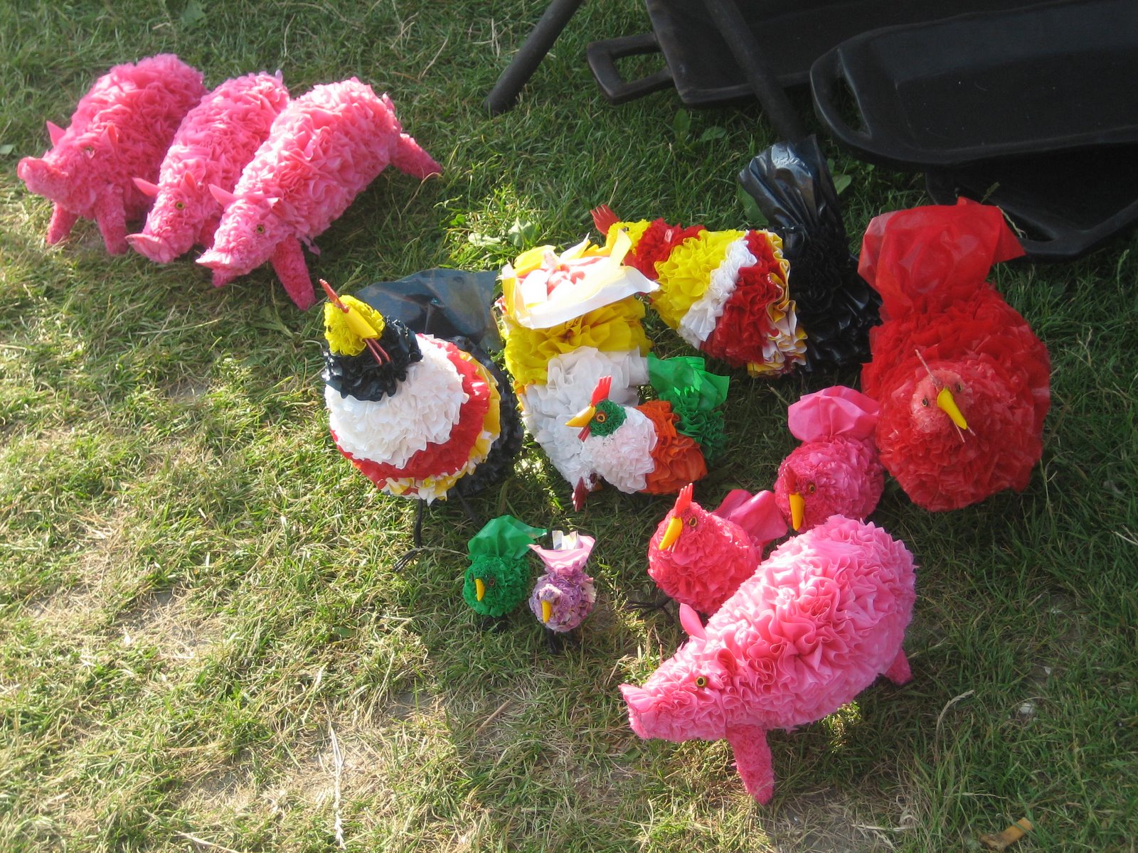 [IMG_5323.JPG]