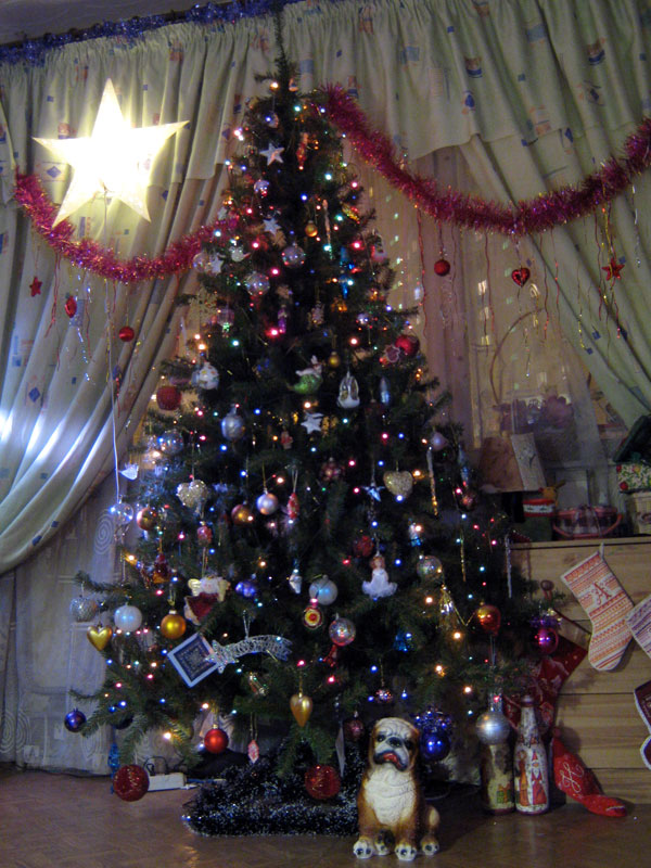 [IMG_0062.jpg]