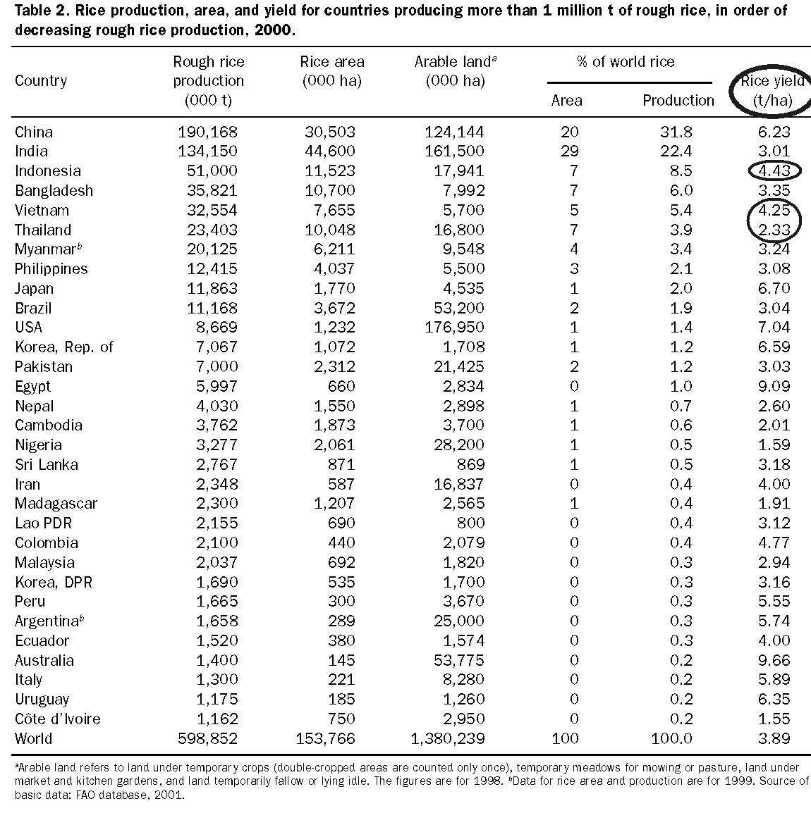 [arroz_produção.jpg]