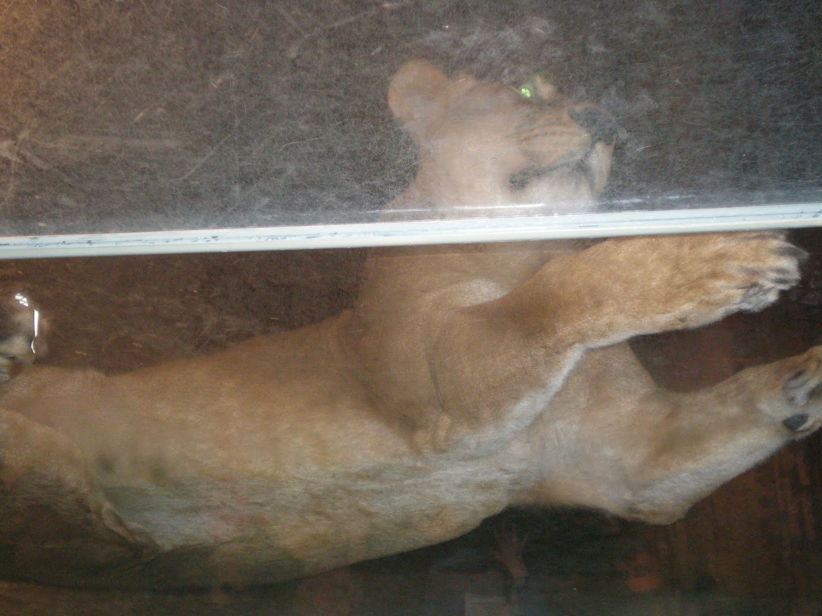 [P3024450.JPG]