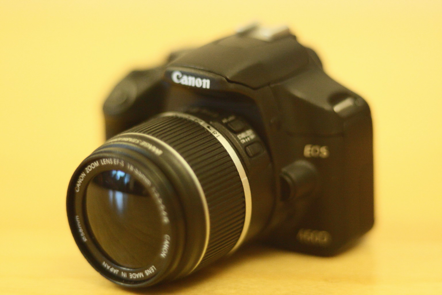 [IMG_3019_resize.JPG]