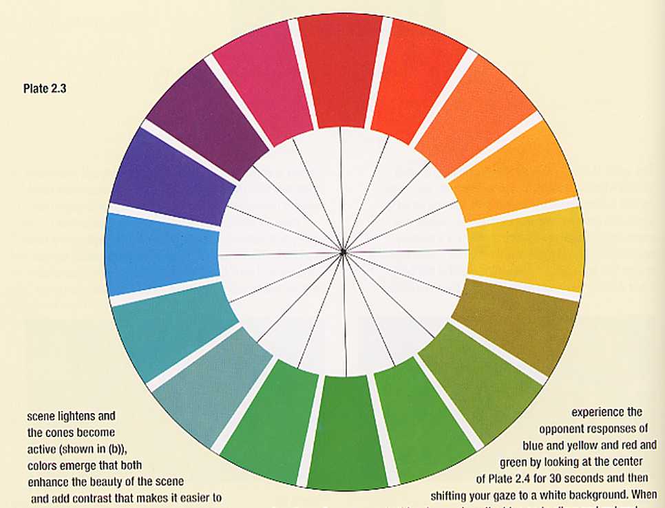 Animation Color