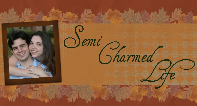 Semi Charmed Life