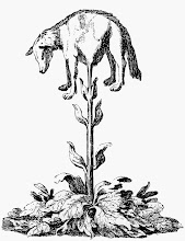 Scythian Lamb