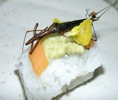 Japanese Weird Food - Insect Sushi Seen On www.coolpicturegallery.us Japanese Weird Food - Insect Sushi Seen On www.coolpicturegallery.us