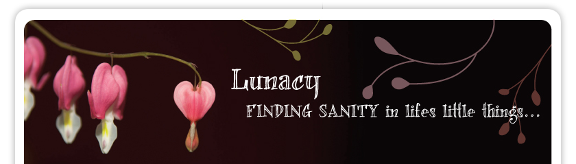 Lunacy: Finding Sanity in Life\