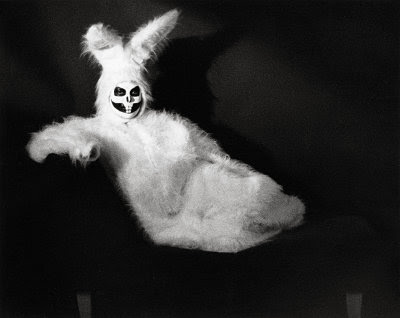 clique para ampliar White Rabbit I - Perpetual Filth