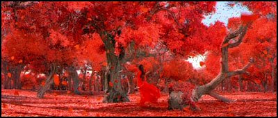 Herói - Yimou Zhang