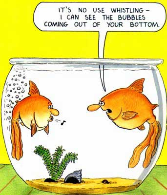 Cold Fish Cartoon