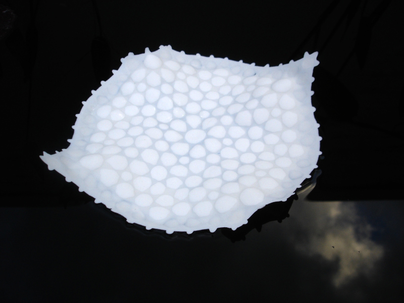 [Christina+Bryer_Antarctic+form+i.jpg]