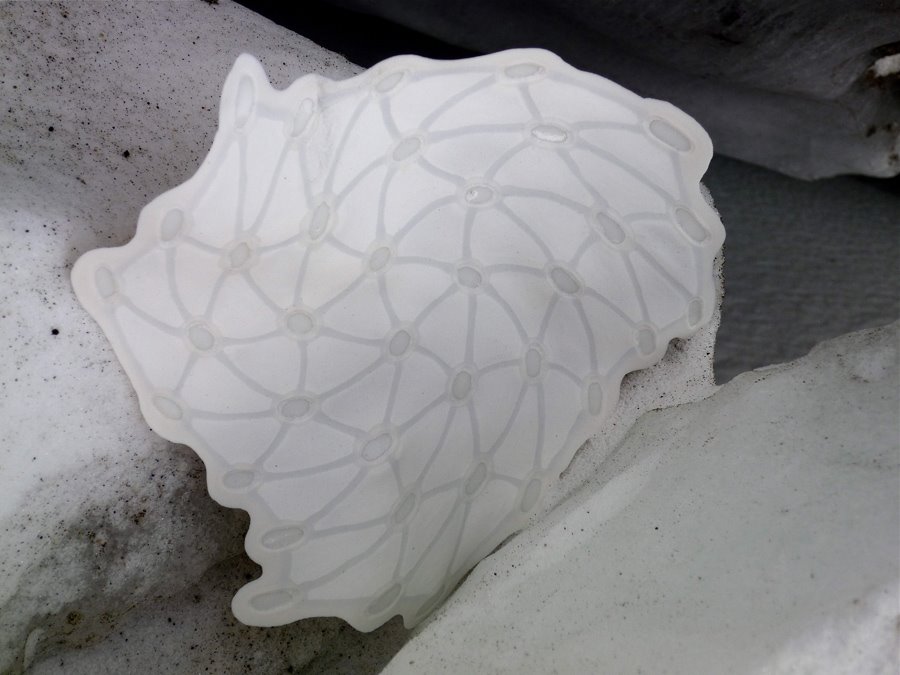 [Christina's+euclid+on+ice+i]