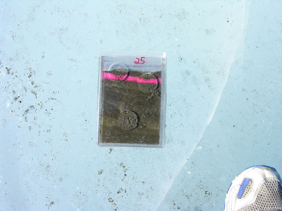 [Molly's+aquaria+mini.jpg]