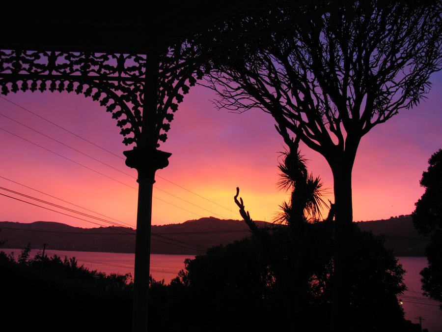 [Christmas+Lancewood+-+Add.Tce.jpg]