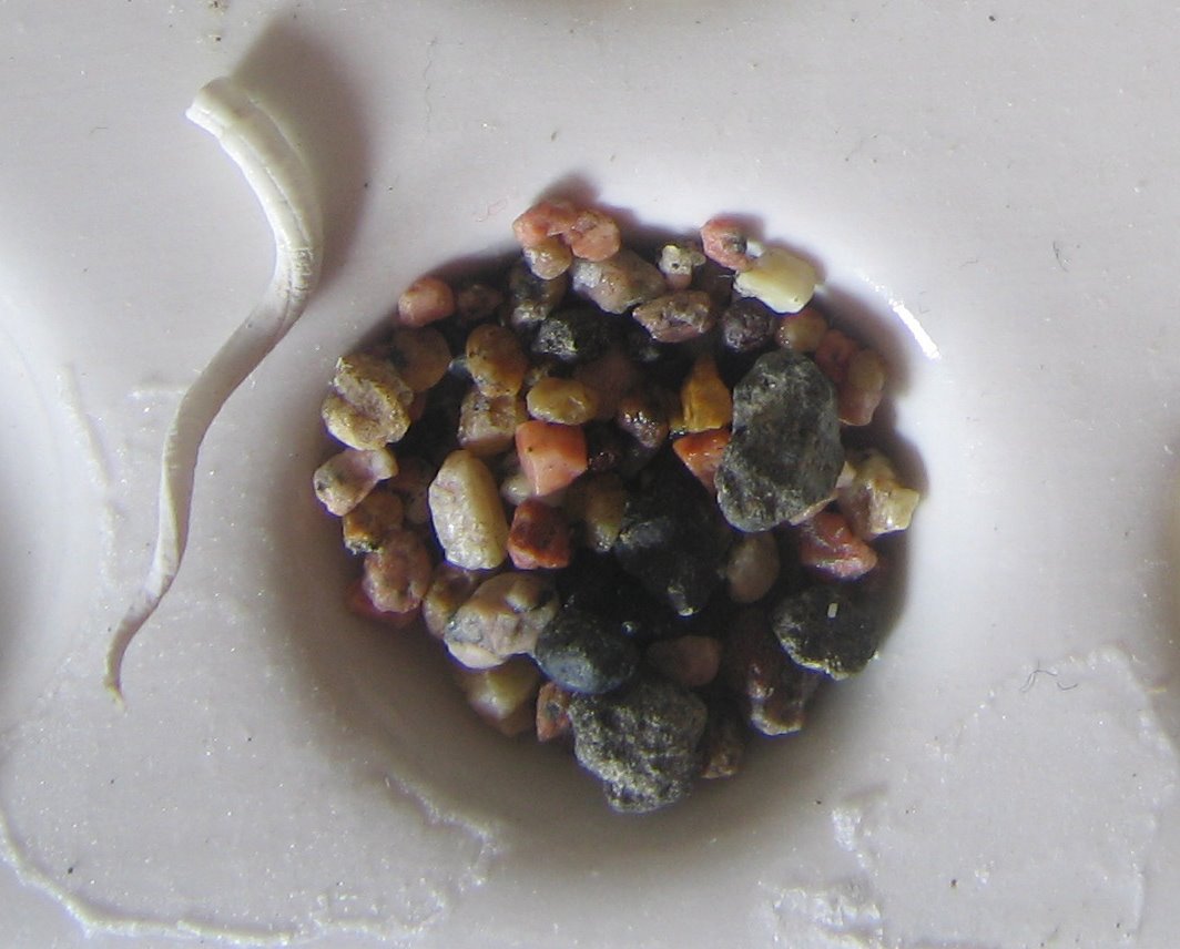 [FoodScience_foram+ii.jpg]