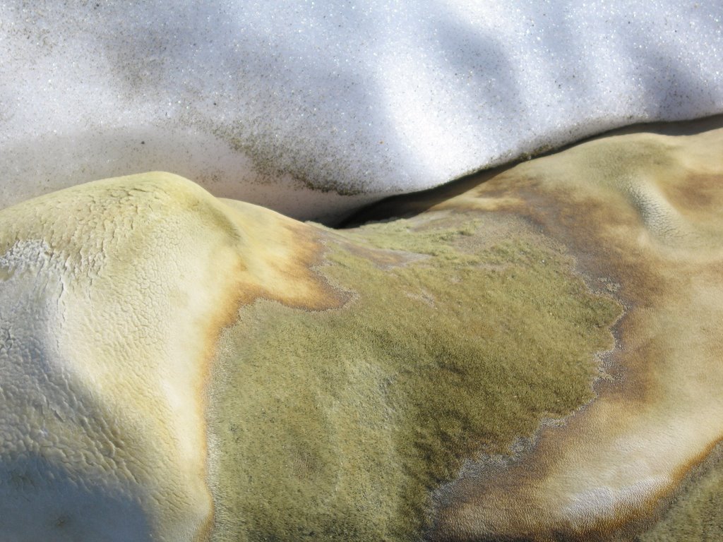 [12.CLAIRE+BEYNON.JPG]