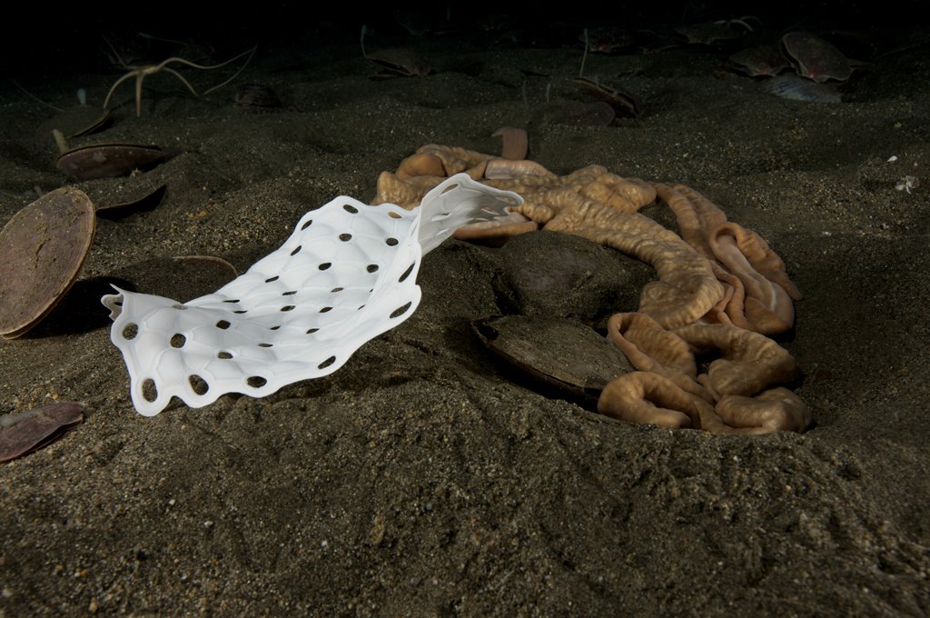 [11_CLAIRE+BEYNON.jpg]